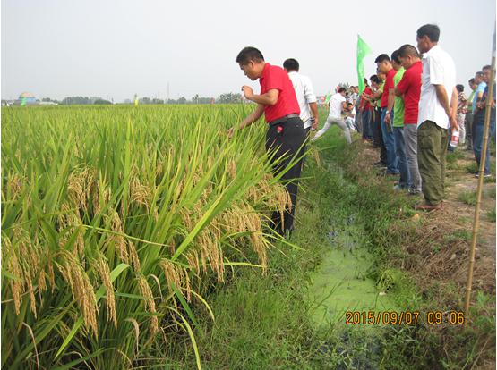 11(10).jpg 11(10).jpg